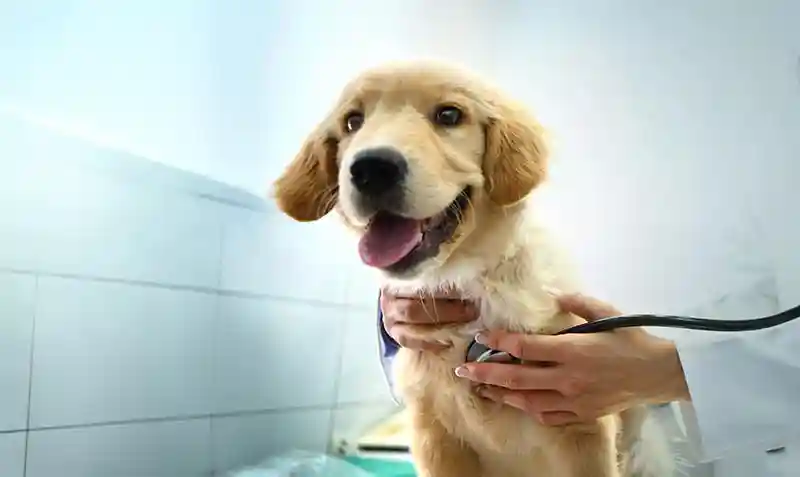 Diagnostics That Dig Deeper