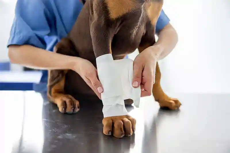 Illness & Urgent Care