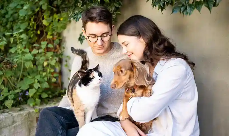 Adult Pets Adult Pets